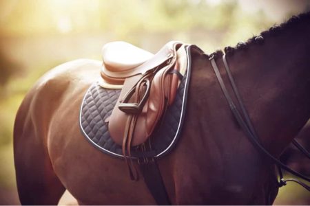 eCommerce improvements for equestrian leather supply company